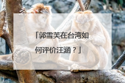 郭雪芙在台湾如何评价汪涵？