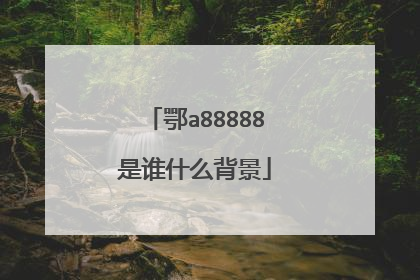 鄂a88888是谁什么背景