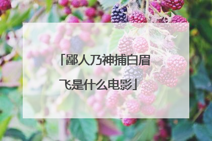 鄙人乃神捕白眉飞是什么电影