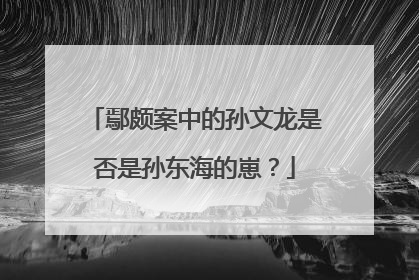 鄢颇案中的孙文龙是否是孙东海的崽?