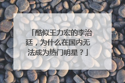 酷似王力宏的李治廷,为什么在国内无法成为热门明星?