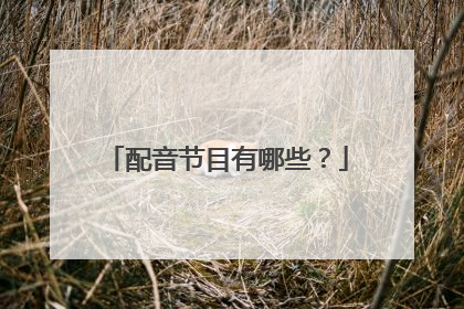 配音节目有哪些？