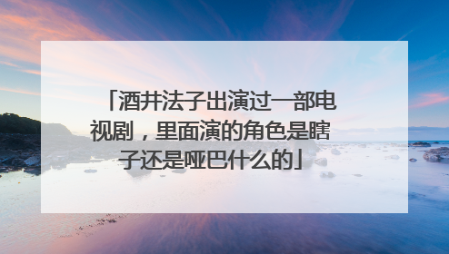 酒井法子出演过一部电视剧，里面演的角色是瞎子还是哑巴什么的