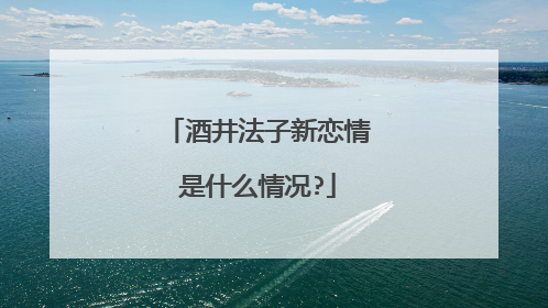酒井法子新恋情是什么情况?