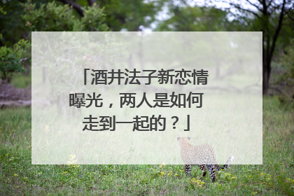 酒井法子新恋情曝光，两人是如何走到一起的？