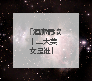 酒廊情歌 十二大美女是谁
