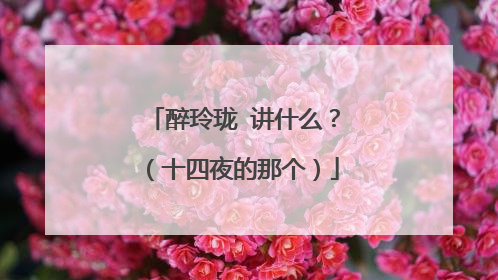醉玲珑 讲什么?(十四夜的那个)