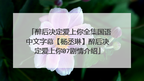 醉后决定爱上你全集国语中文字幕【杨丞琳】醉后决定爱上你07剧情介绍