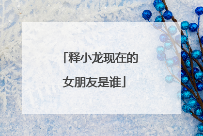 释小龙现在的女朋友是谁