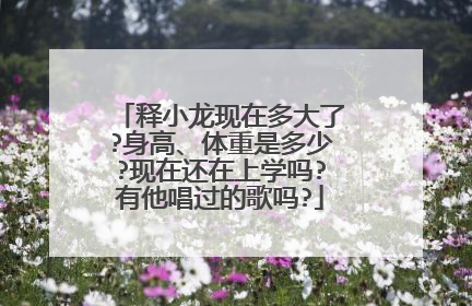 释小龙现在多大了?身高、体重是多少?现在还在上学吗?有他唱过的歌吗?