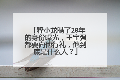 释小龙瞒了20年的身份曝光,王宝强都要向他行礼,他到底是什么人?