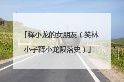 释小龙的女朋友（笑林小子释小龙陨落史）