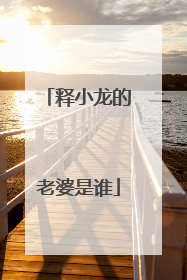 释小龙的老婆是谁