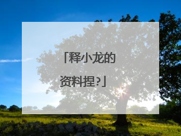 释小龙的资料捏?