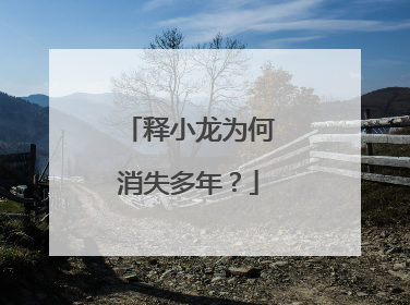 释小龙为何消失多年？