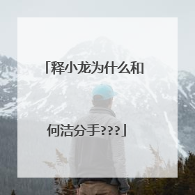 释小龙为什么和何洁分手???