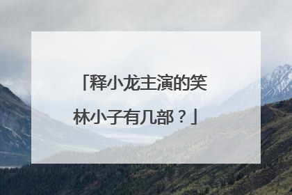 释小龙主演的笑林小子有几部?