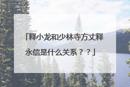 释小龙和少林寺方丈释永信是什么关系??
