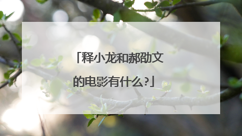 释小龙和郝劭文的电影有什么?