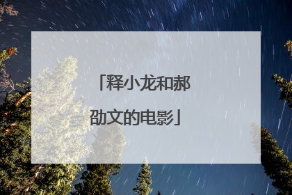 释小龙和郝劭文的电影