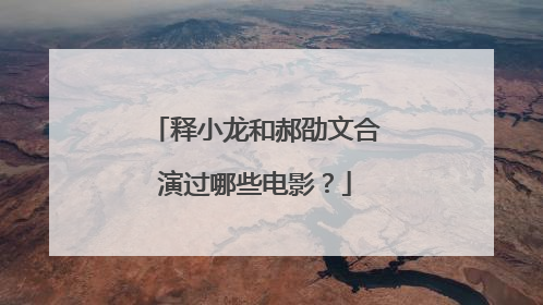 释小龙和郝劭文合演过哪些电影？