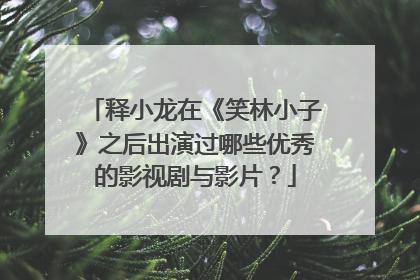 释小龙在《笑林小子》之后出演过哪些优秀的影视剧与影片？