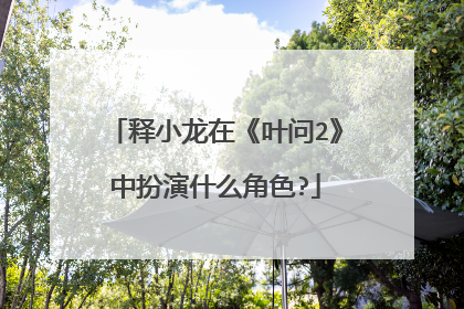 释小龙在《叶问2》中扮演什么角色?