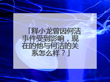 释小龙曾因何洁事件受到影响，现在的他与何洁的关系怎么样？