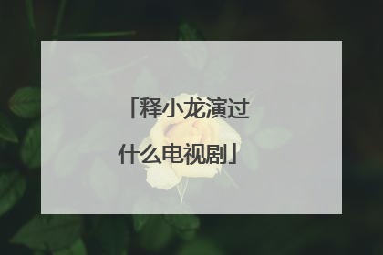释小龙演过什么电视剧