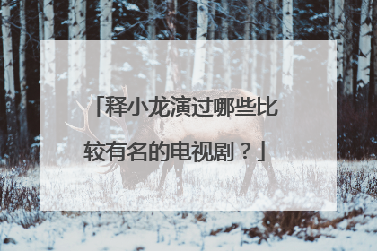 释小龙演过哪些比较有名的电视剧？