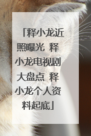 释小龙近照曝光 释小龙电视剧大盘点 释小龙个人资料起底