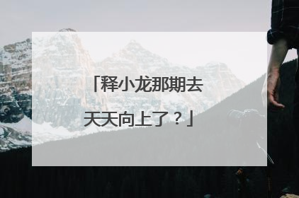 释小龙那期去天天向上了?