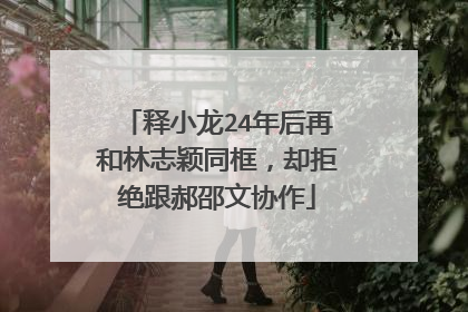 释小龙24年后再和林志颖同框,却拒绝跟郝邵文协作