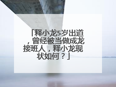 释小龙5岁出道,曾经被当做成龙接班人,释小龙现状如何?