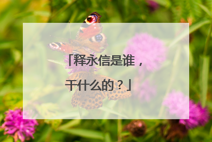 释永信是谁,干什么的?