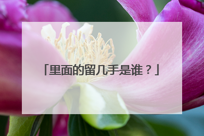 里面的留几手是谁？