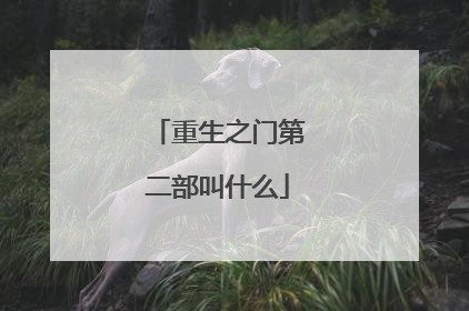 重生之门第二部叫什么