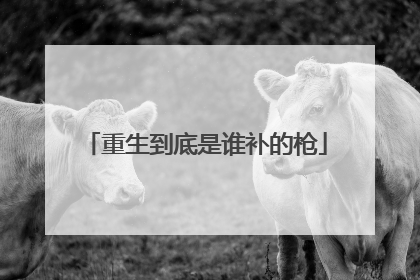 重生到底是谁补的枪