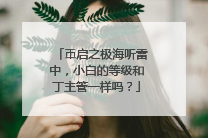 重启之极海听雷中，小白的等级和丁主管一样吗？