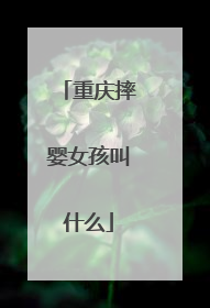 重庆摔婴女孩叫什么