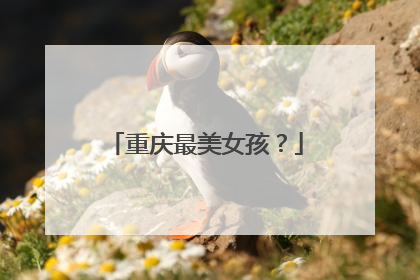 重庆最美女孩?