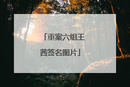 重案六组王茜签名图片