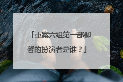 重案六组第一部柳馨的扮演者是谁？