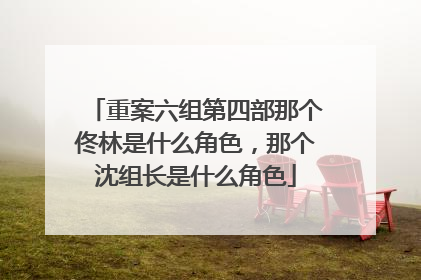 重案六组第四部那个佟林是什么角色，那个沈组长是什么角色