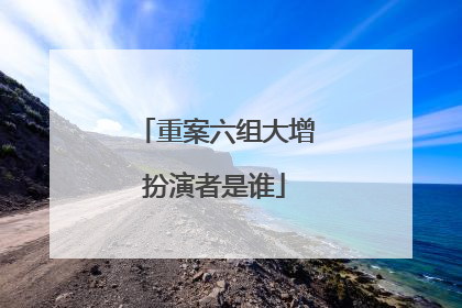 重案六组大增扮演者是谁