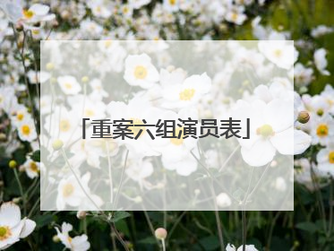 重案六组演员表