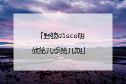 野狼disco明侦第几季第几期