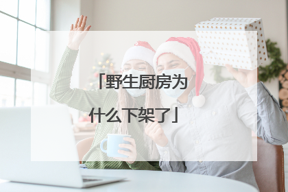 野生厨房为什么下架了