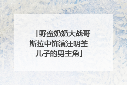 野蛮奶奶大战哥斯拉中饰演汪明荃儿子的男主角