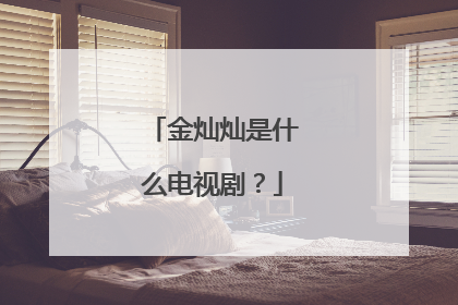 金灿灿是什么电视剧？